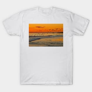 Seagulls soaring skywards T-Shirt